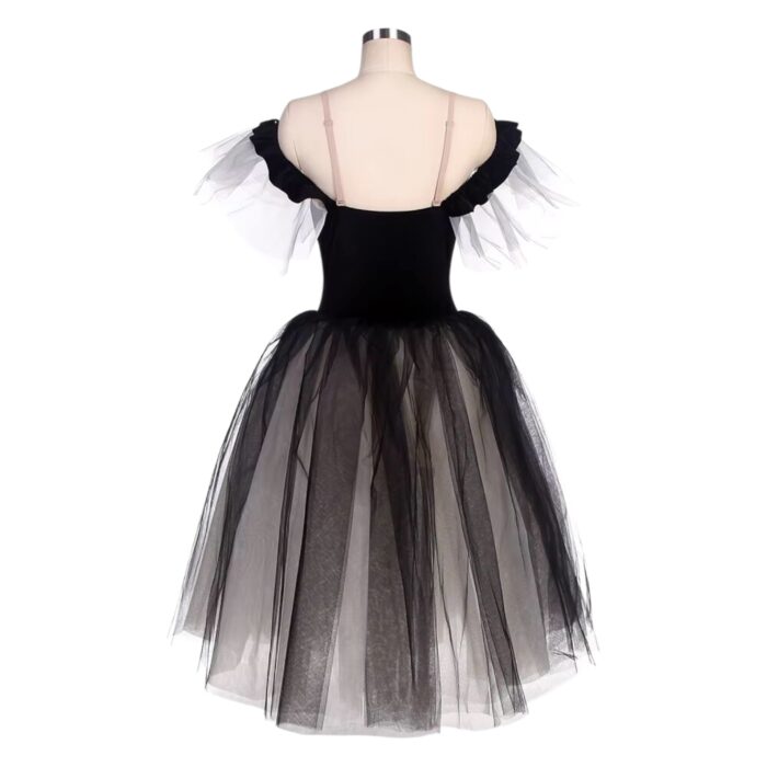 Lyrical Dance Costumes - Image 3